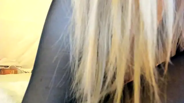 Politeeliza – Kamerová šou