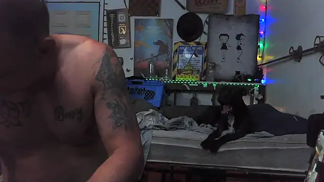 Buffshagswell Live XXX-Chat