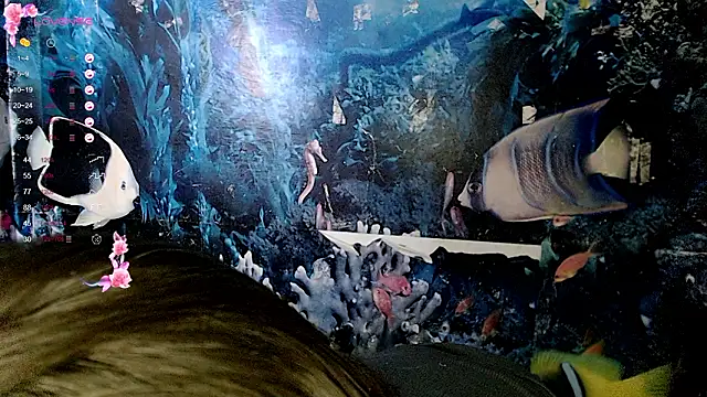 Phantommira Live XXX-Chat