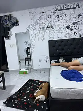 nic_2005 网络视讯表演