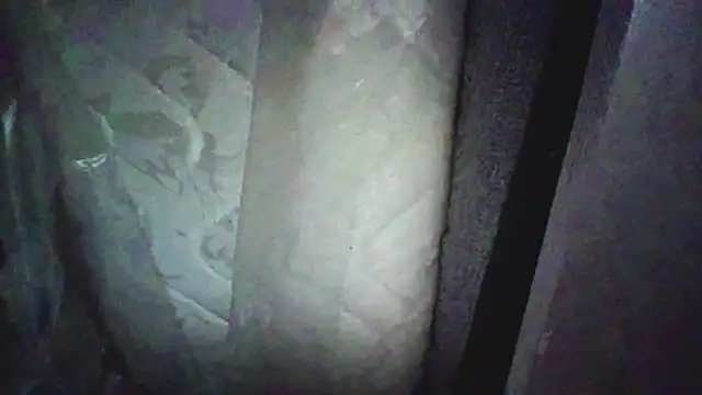 KungFuPanda001 Webcamshow