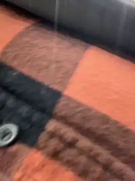 hailzeffn's Live XXX Chat