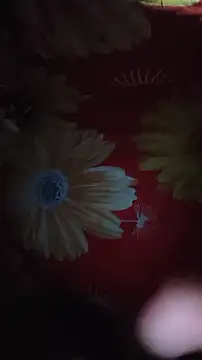 IMBADBOY4U 现场XXX聊天