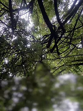 yoursexyjose 在線直播表演