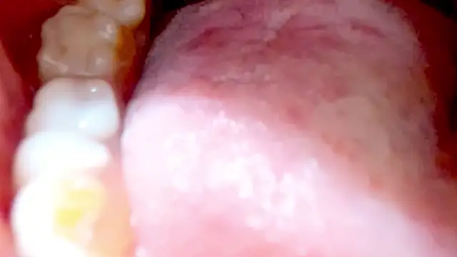 Nayla_Garner Adlı Modelin Canlı XXX Sohbeti