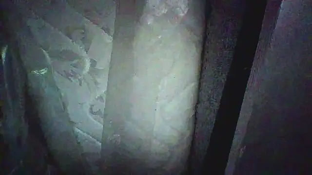 KungFuPanda001 Webcam Show