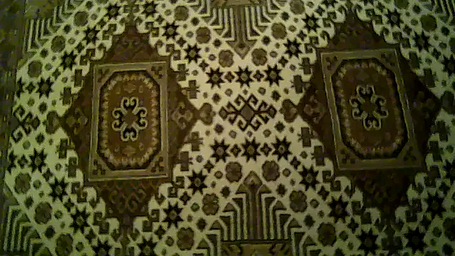 FayInessaKiss 现场XXX聊天