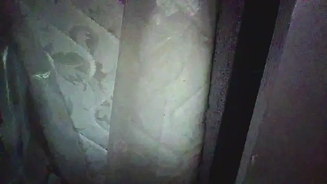 KungFuPanda001 Pertunjukan Webcam