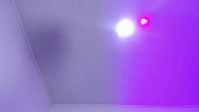 แชท XXX สดของ SagiraBelle