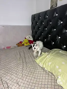 XXX chat uživo modela VenusDeMilo_55