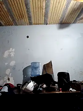 puak6666のライブXXXチャット