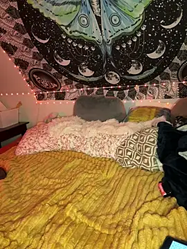 SuzyCatzz Live XXX-Chat