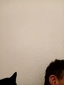 Peter059006 webcam show