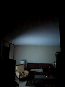 Perv10 Pertunjukan Webcam