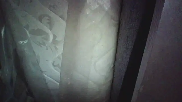 KungFuPanda001 Show in webcam