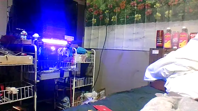 jaxx12369 Live XXX-chat