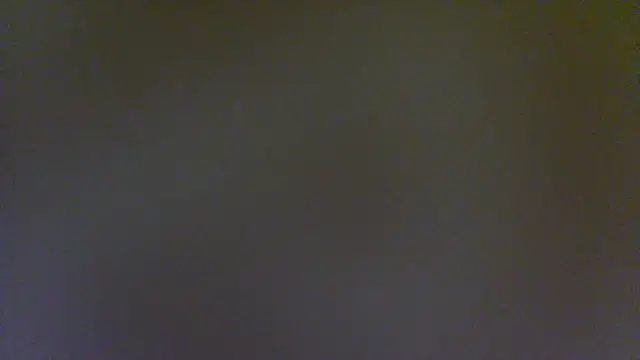 Show webcam de iwantaspen