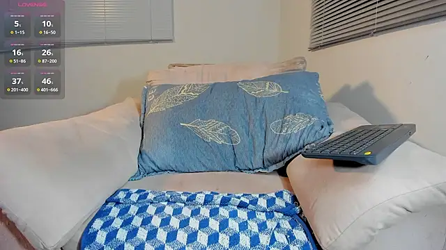 Show webcam de ftmphilip_