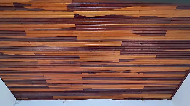 katiamoree's Live XXX Chat