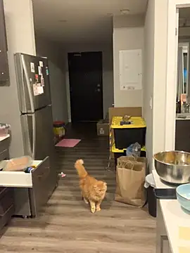 Pertunjukan Kamera Web holyeroticss