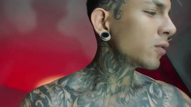 Travtanner webkamerás műsora