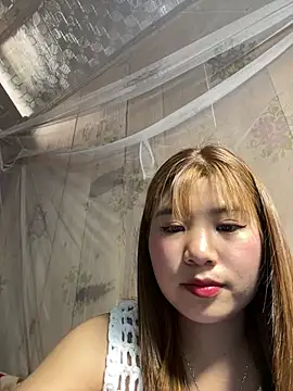 Forida-ciea 网络视讯表演