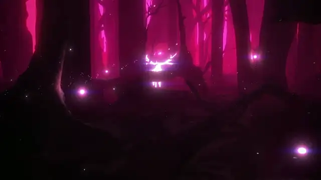 BimboCatのウェブカメラショー