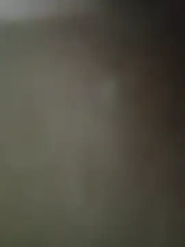 hasapequinha Show Webcam