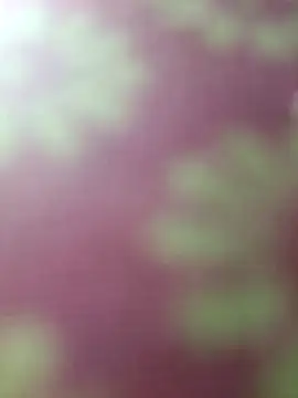 Nandani-758's Webcam Show