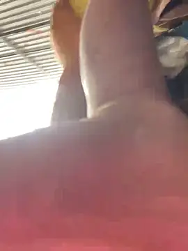 BellaCherishDarlingのウェブカメラショー