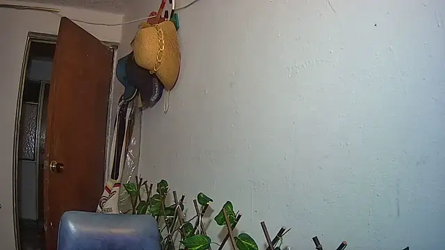 XXX chat uživo modela nicoltatiana_