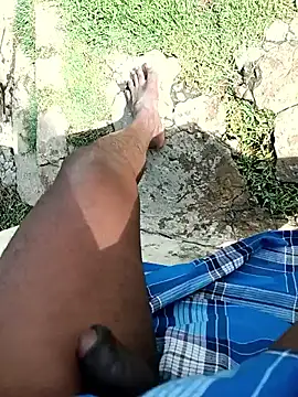 dolphiinn Webcam show