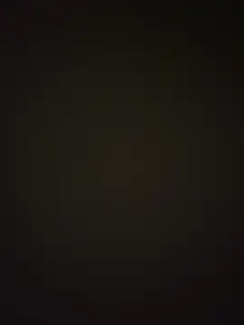 Show webcam de sharks90