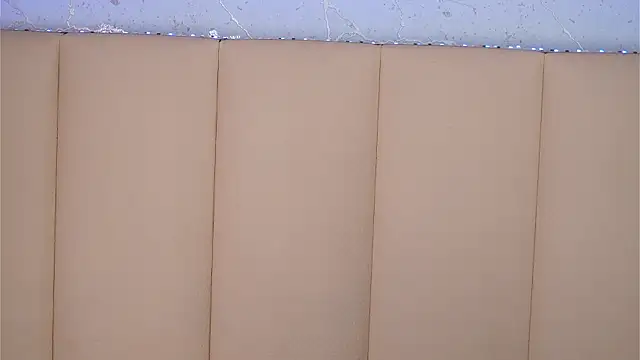 BambiRoses 라이브 XXX 채팅