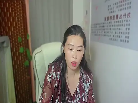 V20260226 网络视讯表演