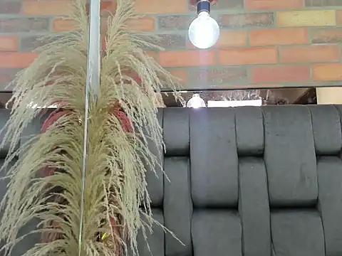 Živý XXX chat JESSYCORTES