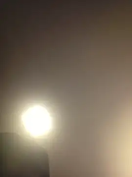 piggylatino's Webcam Show