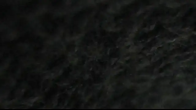 KurvyKandie Live XXX-chat