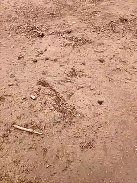 Show modela xmanrawan2 na web-kameri