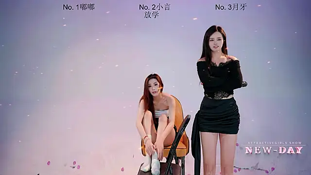 NEW-DAYn Webbikameraesitys