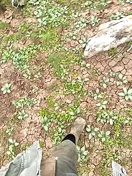 murokkk31 Adlı Modelin Web Kamerası Şovu