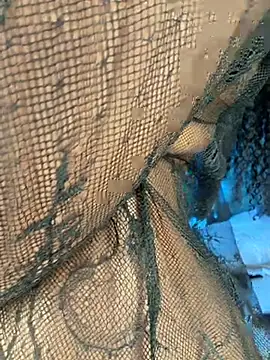 دردشة Lola_King الجنسية المباشرة