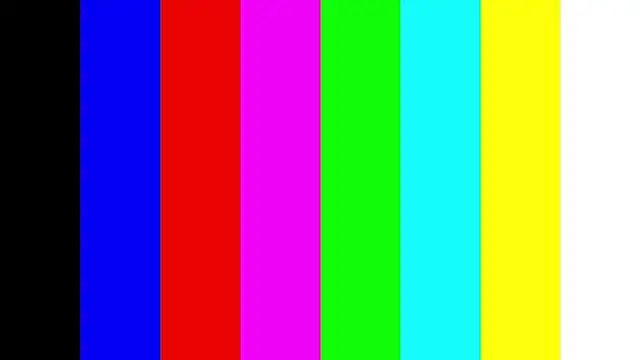 Show webcam de TeriSchabbing