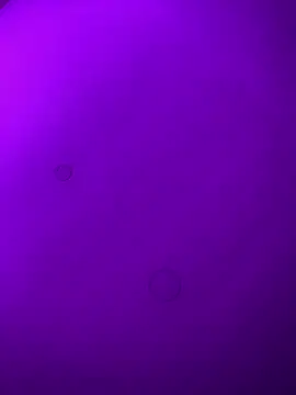 SofiaSiren লাইভ XXX চ্যাট