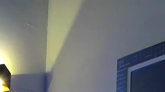 TonyPetrovjs élő XXX-chatje