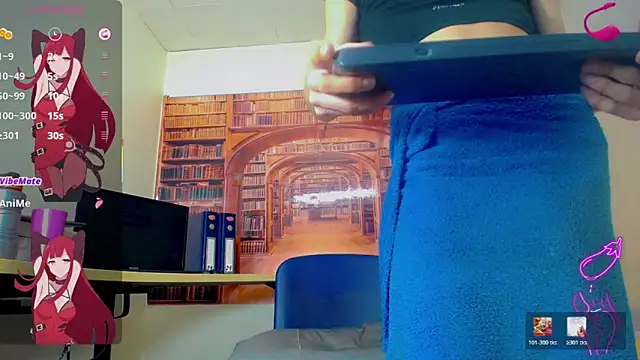 عرض كام britanny_noroeste