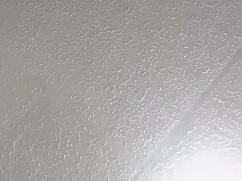 Chat XXX en directo de Trevordonson_milf