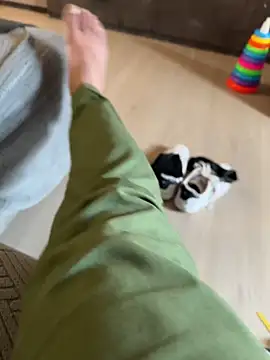 Show Webcam de Rodrigopraba