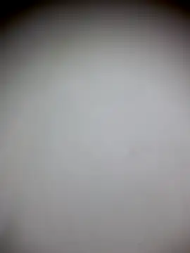 sua_sub_ Adlı Modelin Canlı XXX Sohbeti