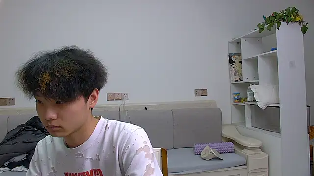 icecream-002n Webbikameraesitys